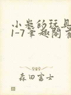 小米的玩具日记1-7笔趣阁有声