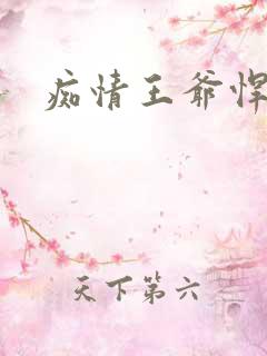 痴情王爷悍王妃