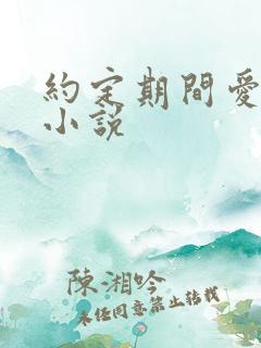 约定期间爱上你小说