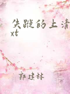 失踪的上清寺txt