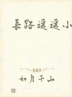 长路遥遥小说
