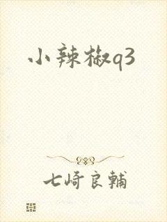 小辣椒q3