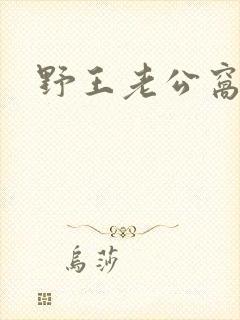 野王老公窝
