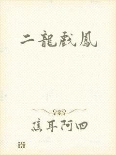 二龙戏凤