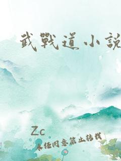 武战道小说