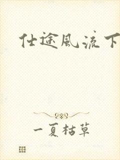 仕途风流下载