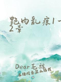 艳肉乱痕1一12章