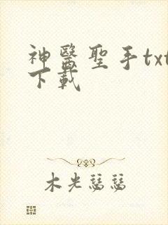 神医圣手txt下载