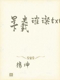 星光璀璨txt下载