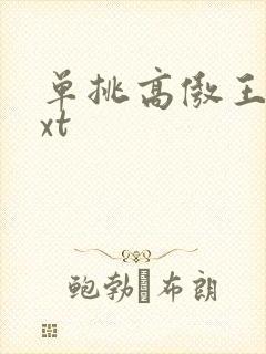 单挑高傲王子txt
