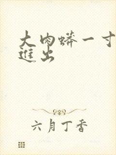 大肉蟒一寸一寸进出