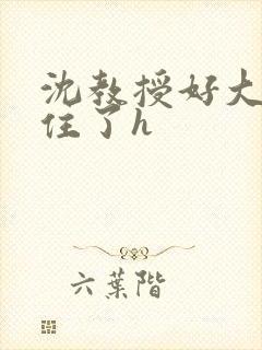 沈教授好大含不住了h