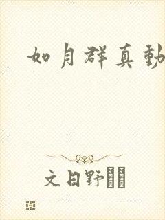 如月群真动画