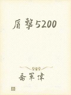 盾击5200
