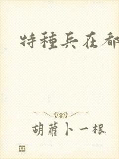 特种兵在都市