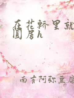 在花轿里就开始圆房h