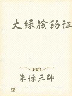 大绿脸的征途
