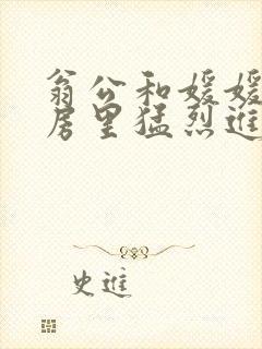 翁公和媛媛在厨房里猛烈进出