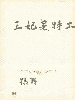 王妃是特工