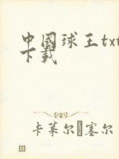 中国球王txt下载