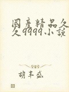 国产精品久久久久9999小说