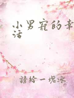 小男宠的幸福生活