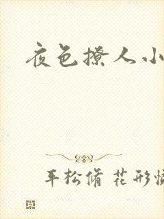 夜色撩人小说