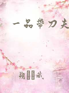 一品带刀夫人