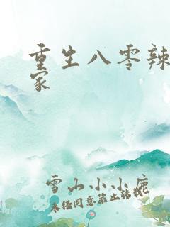 重生八零辣妻当家