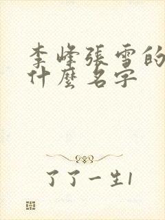 李峰张雪的书叫什么名字