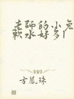 老师的小兔子好软水好多l