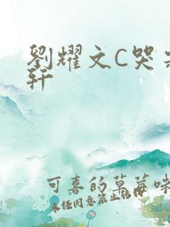 刘耀文C哭宋亚轩