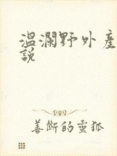温澜野外产子小说