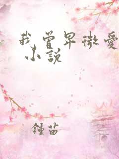 我曾卑微爱过你 小说