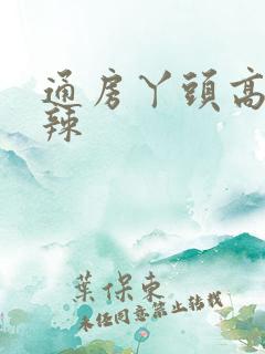 通房丫头高h肉辣