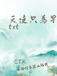 天使只为星夜哭txt