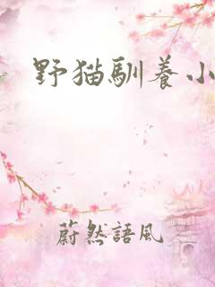 野猫驯养小说