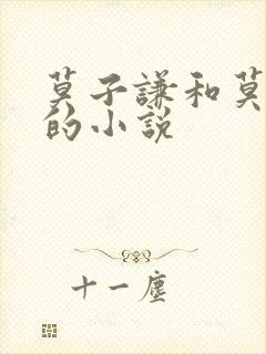 莫子谦和莫弯弯的小说