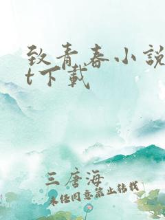 致青春小说txt下载