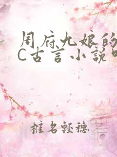 周府九娘的NPC古言小说叫什么