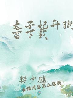 太子妃升职记迅雷下载