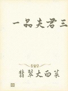 一品夫君三流妻