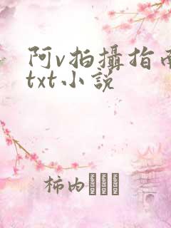 阿v拍摄指南说txt小说