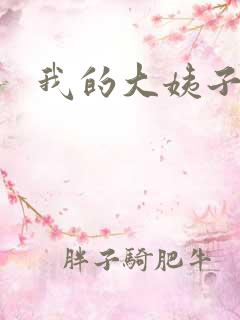 我的大姨子