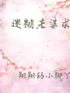 迷糊老婆求错婚