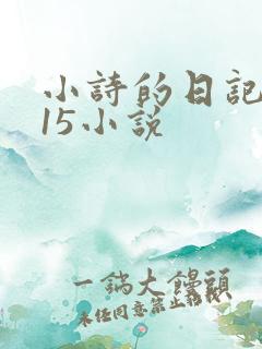 小诗的日记1一15小说