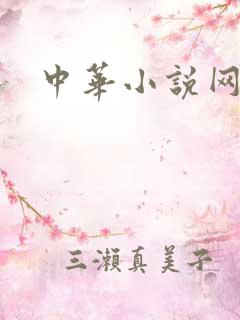 中华小说网