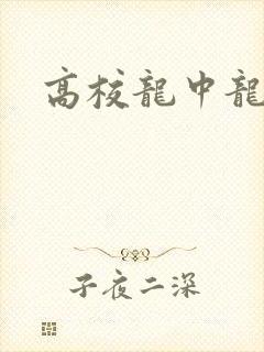 高校龙中龙下载