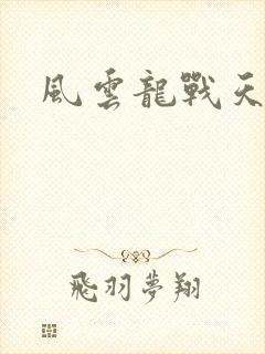 风云龙战天下