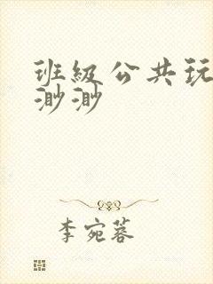 班级公共玩具叶渺渺